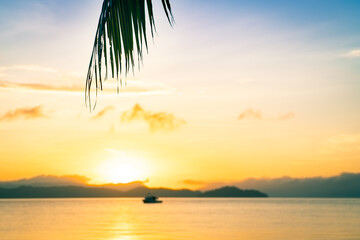 Wall Mural - beautiful sunrise on the sea beach with palm tree for travel in