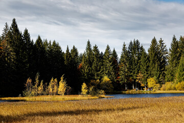 Poster - étang tourbière des Vosges en automne