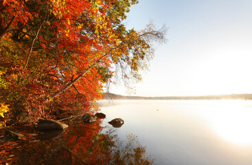 Wall Mural - Beautiful New England Fall Foliage with water reflections at sunrise, Boston Massachusetts.