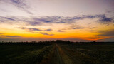 Fototapeta Natura - sunset in the fields in the evening