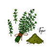 © Kseniia - Set of hand drawn thyme branches in bloom and homeopathic and alternative medicine design elements. Vector illustration isolated on white. Botanical herbal plant in vintage colored sketch style.