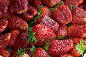 red juicy ripe strawberries on the background