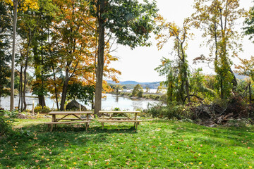 Wall Mural - Picnic table in the forest
