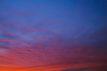 Wall Mural - Blue sky and red broken clouds background.