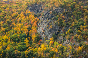 Canvas Print - autumn in the mountains