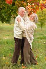 Canvas Print - Beautiful caucasian senior couple dancing in the park