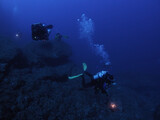 Fototapeta Do akwarium - Scuba Diving Malta, Gozo and Comino