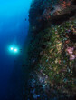 © David - Scuba Diving Malta, Gozo and Comino