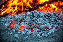 Embers Burning In Campfire Ash