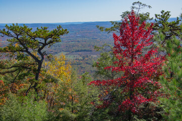 Fall Hike