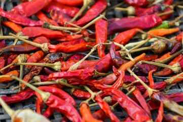 Wall Mural - close up dry rad chili - raw food