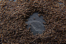 Dry Poppy On A Black Background Dry Poppy Heads. Dry Poppy Heads On A Black Background. Poppy Head And Seeds Are Scattered.