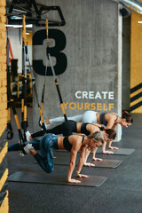 Suspension training. Three young athletic women exercising with trx fitness straps at gym, vertical shot