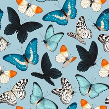 Seamless Pattern With Blue And Yellow Butterflies