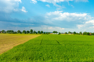 Wall Mural - Germany, Countryside outskirts, a large green field