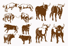 Graphical Vintage Set Of Oxen , Vector Illustration