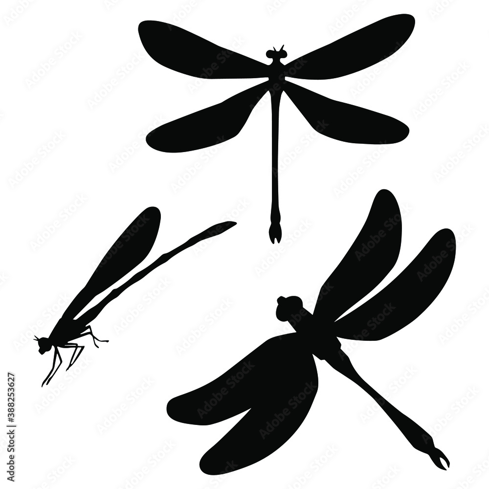 Hand drawn black vector silhouette set of dragonflies isolated on white ...