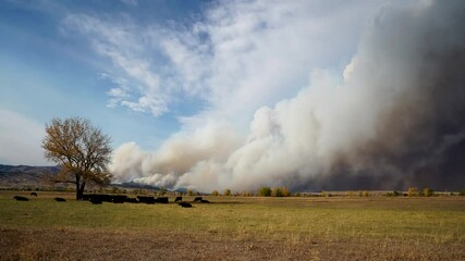 Wall Mural - Time lapse of wildfire smoke rising from the Calwood Fire in Boulder, Colorado