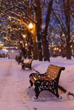 Winter Evening Park Landscape. Wooden Bench, Snow Covered Trees.