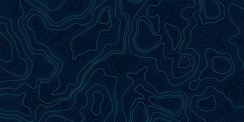 topographic contour map on blue background. vector grid map.
