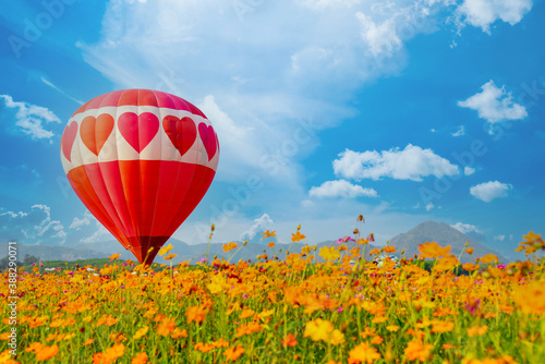 Fotomural Colorful hot air balloon flying at the natural park and garden