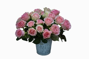 Bouquet of pink roses in a vase isolated