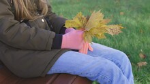 Little Girl Sitting On Bench In Park And Holding Autumn Orange Leaves