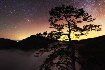 Wall Mural - starry nights in the high tatras with a tourist in a tent on top