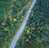 Fototapeta Na ścianę - Straight road through the forest top view