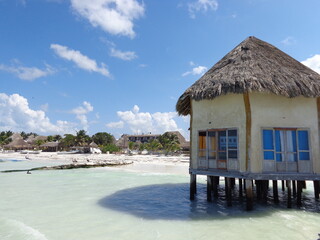 Wall Mural - The beautiful beaches and wildlife of  the Mexican Isla Contoy, Holbox and Cozumel islands in the Gulf of Mexico