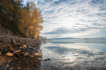 Wall Mural - autumn foggy morning on the river, bright colorful trees, fallen leaves and reflection of clouds in 