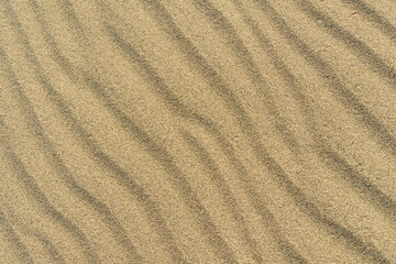  Desert Sand texture. Dune golden