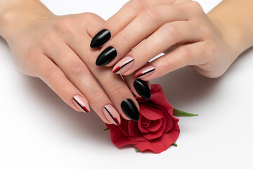 Black manicure with stripes on a close-up of long sharp nails on a white background. Autumn manicure with a red rose in hands.