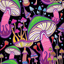 Seamless Patterns With Decorative Mushrooms