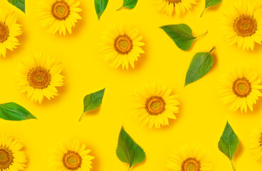 Fotomurales - Flower pattern. Beautiful fresh sunflower with green leaves on yellow background. Flat lay, top view, copy space. Autumn or summer Concept, harvest time, agriculture. Sunflower natural background