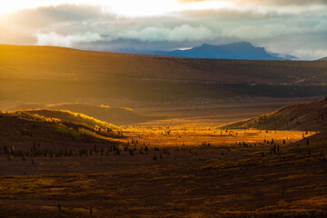 Sunrise at Denali national park taiga mountains at fall