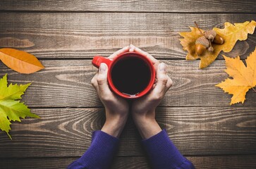 Wall Mural - Autumn.