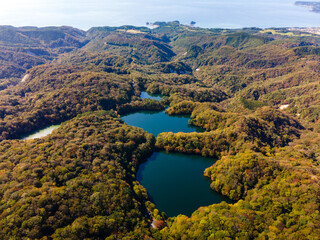 Canvas Print - Omagoe-Kaido.