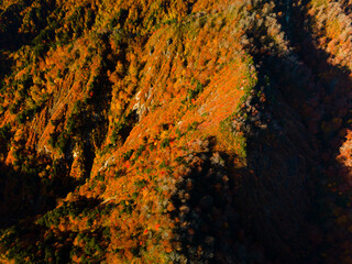 Wall Mural - Shirakami Mountains.