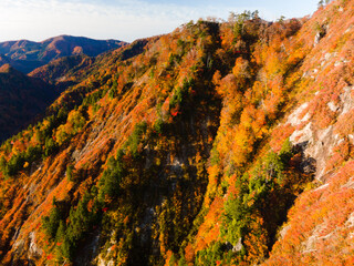 Sticker - Shirakami Mountains.