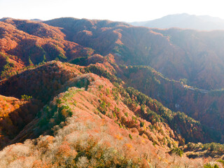 Sticker - Shirakami Mountains.