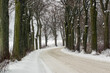 Kręta zaśnieżona droga w zimowej scenerii