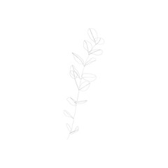 Wall Mural - SINGLE-LINE DRAWING: Leaves, Branch, Botanical 15. This hand-drawn, continuous, line illustration is part of a collection inspired by the drawings of Picasso. Each gesture sketch was created by hand.