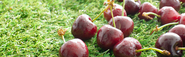 red fresh cherries on green grass, close view