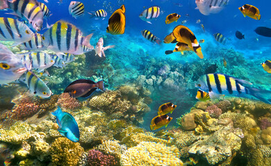 Wall Mural - Underwater Colorful Tropical Fishes.