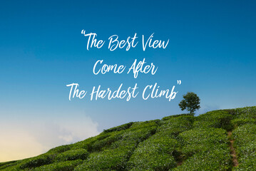 A tea plantation and a clear blue sky written with motivational quotes The Best View Come After The Hardest Climb.