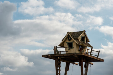 Tree house against a blue cloudy sky