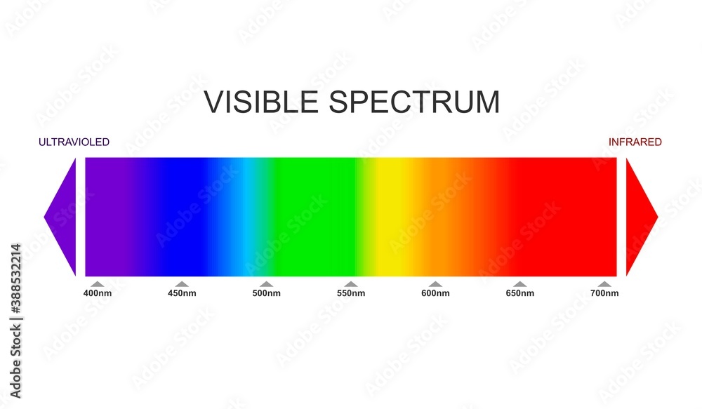 Spectrum, visible light diagram. Portion of the electromagnetic spectrum that is visible to the human eye. Color electromagnetic spectrum, light wave frequency. Infrared and ultraviolet. Vector - obrazy, fototapety, plakaty 
