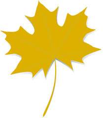 Wall Mural - yellow maple leaf.