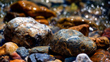 Fototapeta  - beach pebbles
